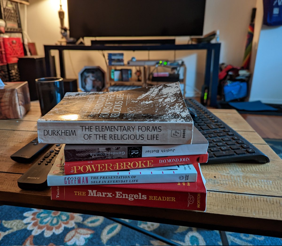 NerdyGirlAV's tweet photo. Either there's a ghost in my apartment that hates #sociology or my #catsofav have good taste in subjects to knock off the damn book shelf... At least they had the decency to mix up classical and contemporary theory 😅 #iamusemyself https://t.co/P6MfSM1JFp