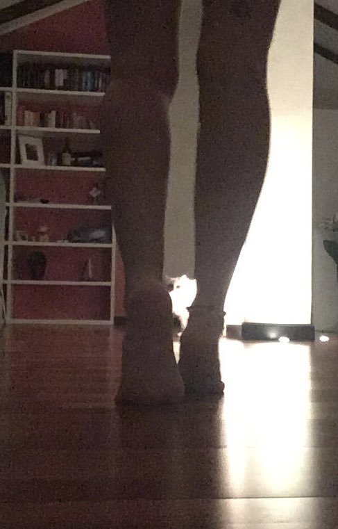 SissyBelll's tweet photo. All the world’s a stage, and all the men and women merely players. They have their exits and their entrances; And one man in his time plays many parts. https://t.co/c2dmhvwZut