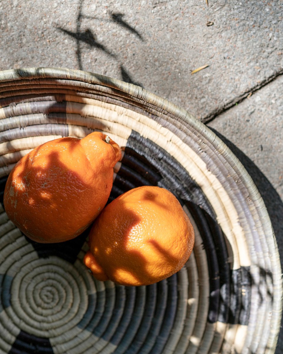 The Robertson Small tweet media