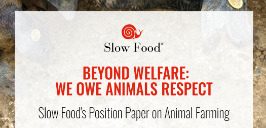 SlowFoodEurope's tweet photo. Discover our new position paper "Beyond Welfare: We Owe Animals Respect", where you will learn about @SlowFoodHQ's vision on #SlowFarming and how we can restore the balance between humans, animals & the planet. #AnimalWelfare
π https://t.co/AZLEGjVUQi https://t.co/9rc4D7kxie