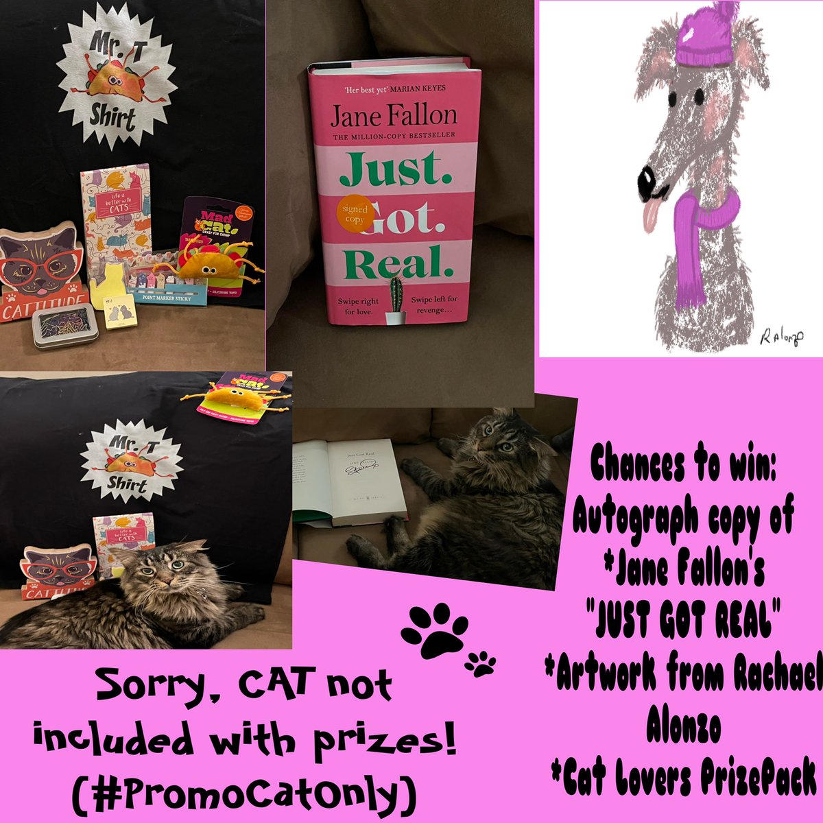 MORNING FURENDS! Leopold’s 8th BURFDAY is coming MONDAY! Inspired by our lovely <a href="/PickliciousF/">Pickle</a> , we are doing a  BURFDAY RAFFLE to help the kitties at <a href="/RappCatsAdopt/">RappCats</a> See prizes below! 
RAFFLE STARTS TOMORROW :
#Caturday - September, 24th! 
See details in tomorrow’s tweet!