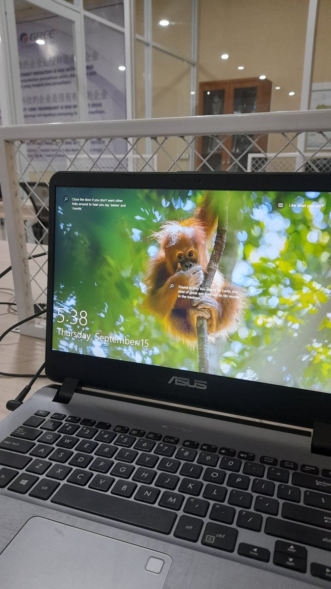 Rullycaesar1's tweet photo. Hanya seorang penggemar orang utan :D https://t.co/dubHEHoohf