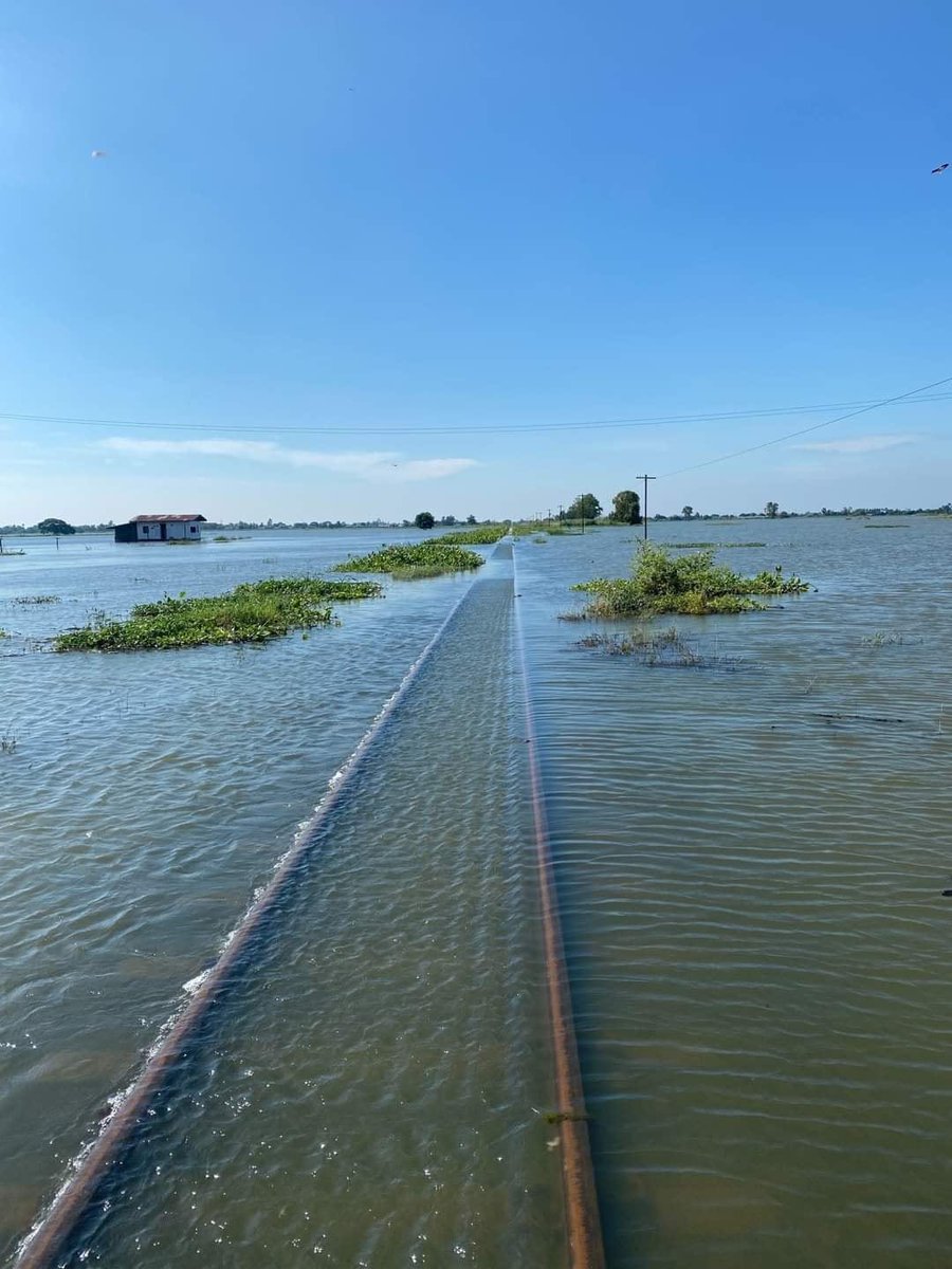 Spirited Away'in gerçek hayattan bir kesiti gibi.