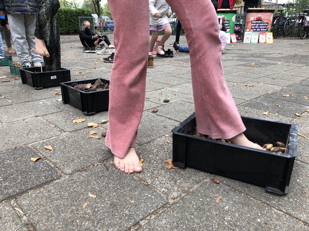 Kennelijk maakt het deze bikkels niets uit, maar met je blote voeten lopen over takjes en eikeltjes lijkt me minder aantrekkelijk dan die smoothies. Toch ook hier heel druk! #zwaanshoek #blotevoetenpad