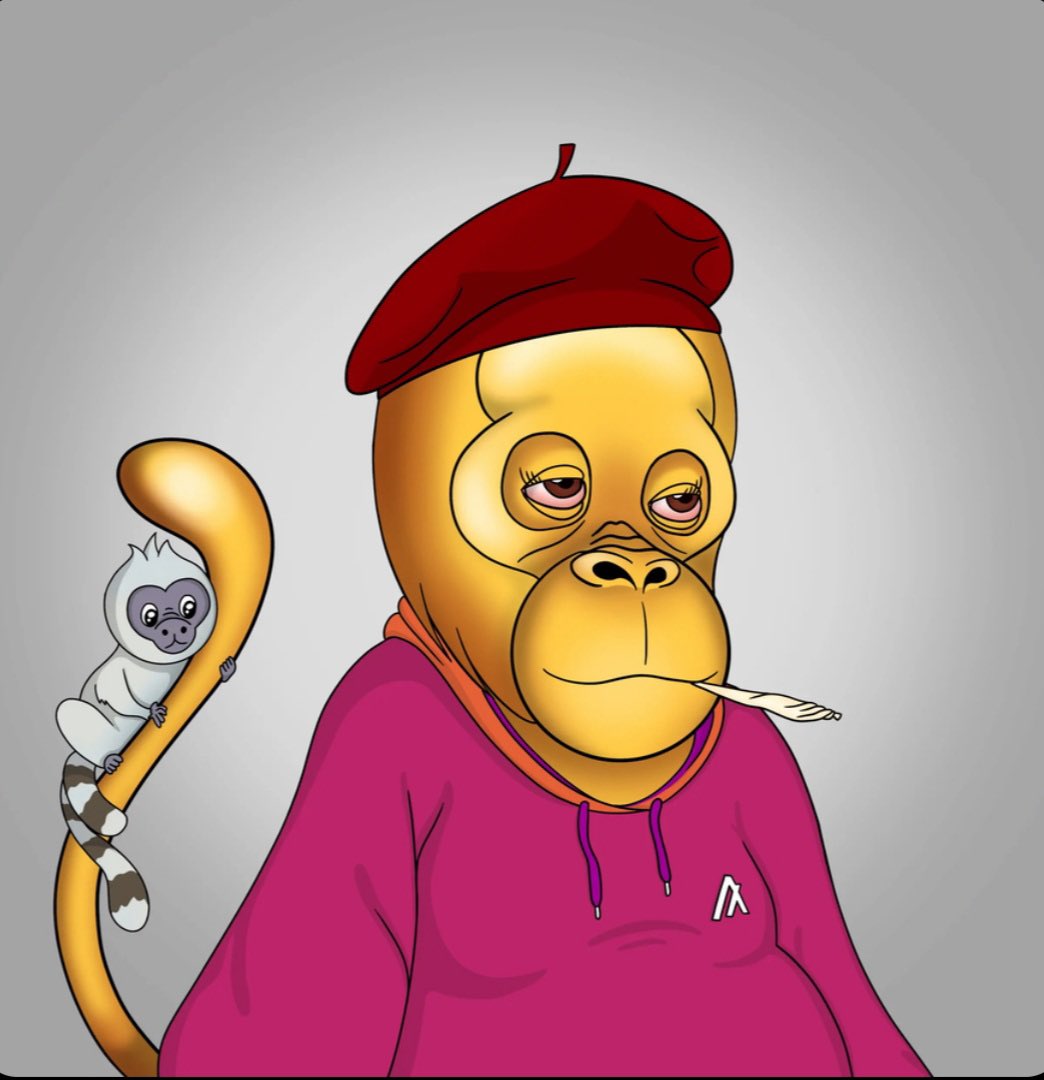 algorangutans.algo tweet media