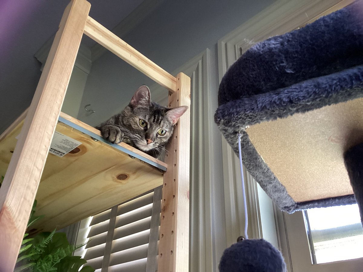 Travis Long tweet media