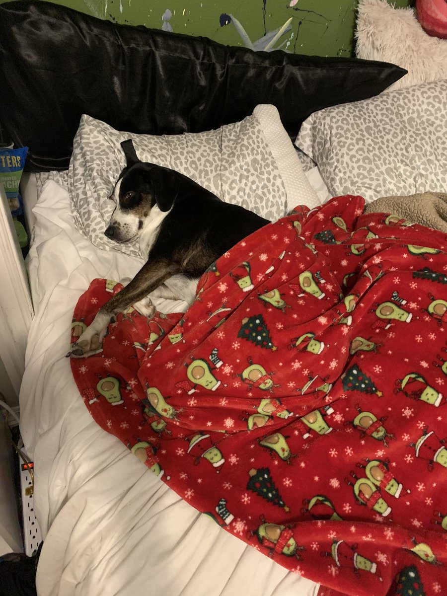 Travis Long tweet media