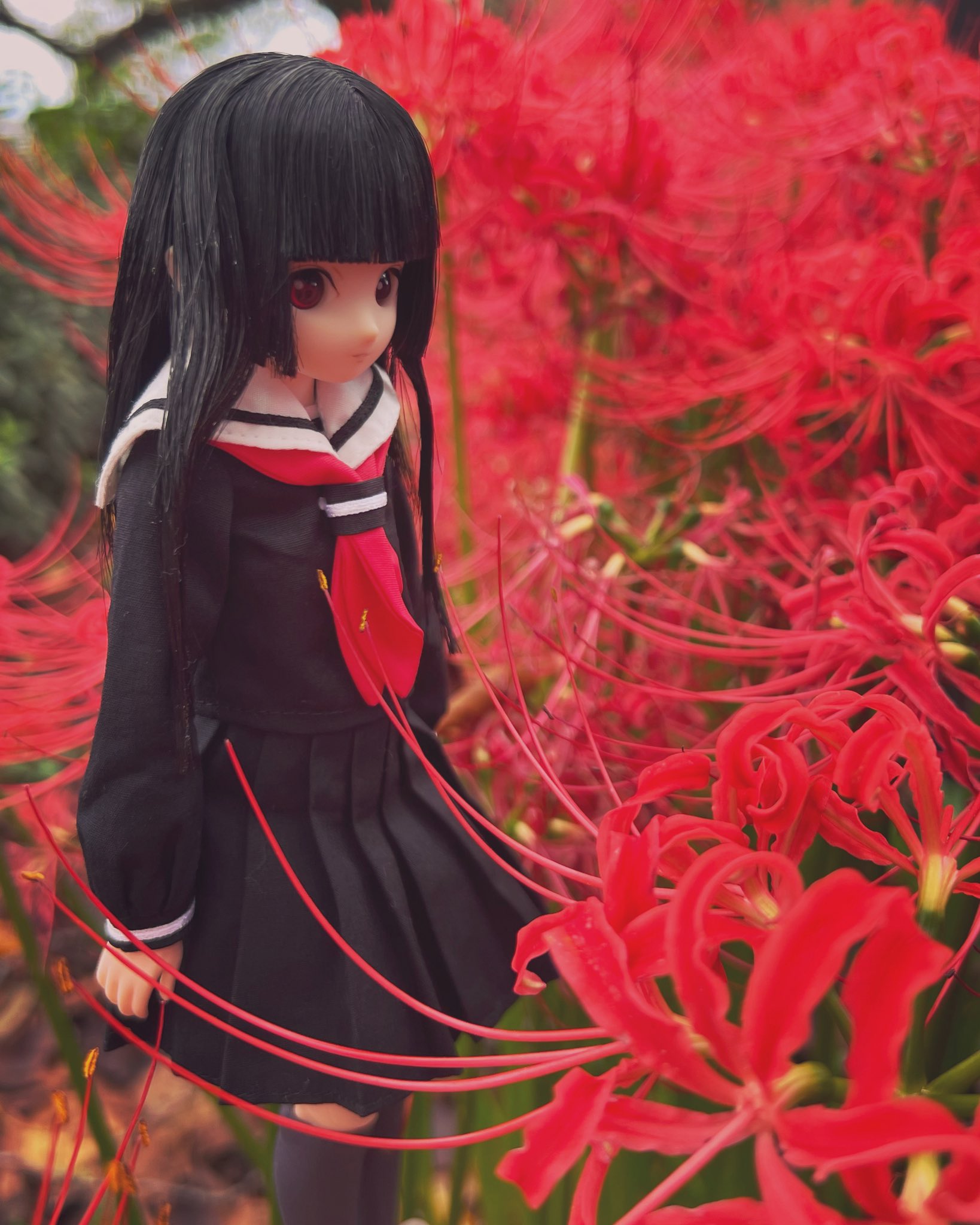 吞嚼怪 Codehardgainle1 Twitter