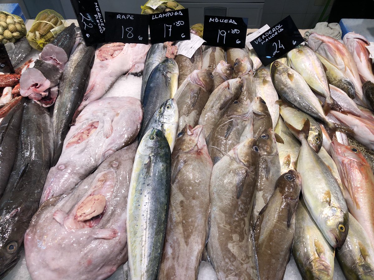 rok_schuster's tweet photo. Glih, ki je petek ❤️ #fish_market #PalmadeMallorca 🐟🐠🦀🦞🦐🦑🐙 https://t.co/BM8w2hSdyv
