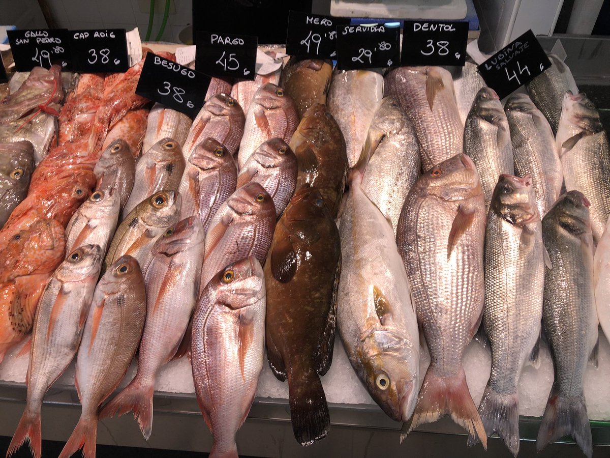 rok_schuster's tweet photo. Glih, ki je petek ❤️ #fish_market #PalmadeMallorca 🐟🐠🦀🦞🦐🦑🐙 https://t.co/BM8w2hSdyv