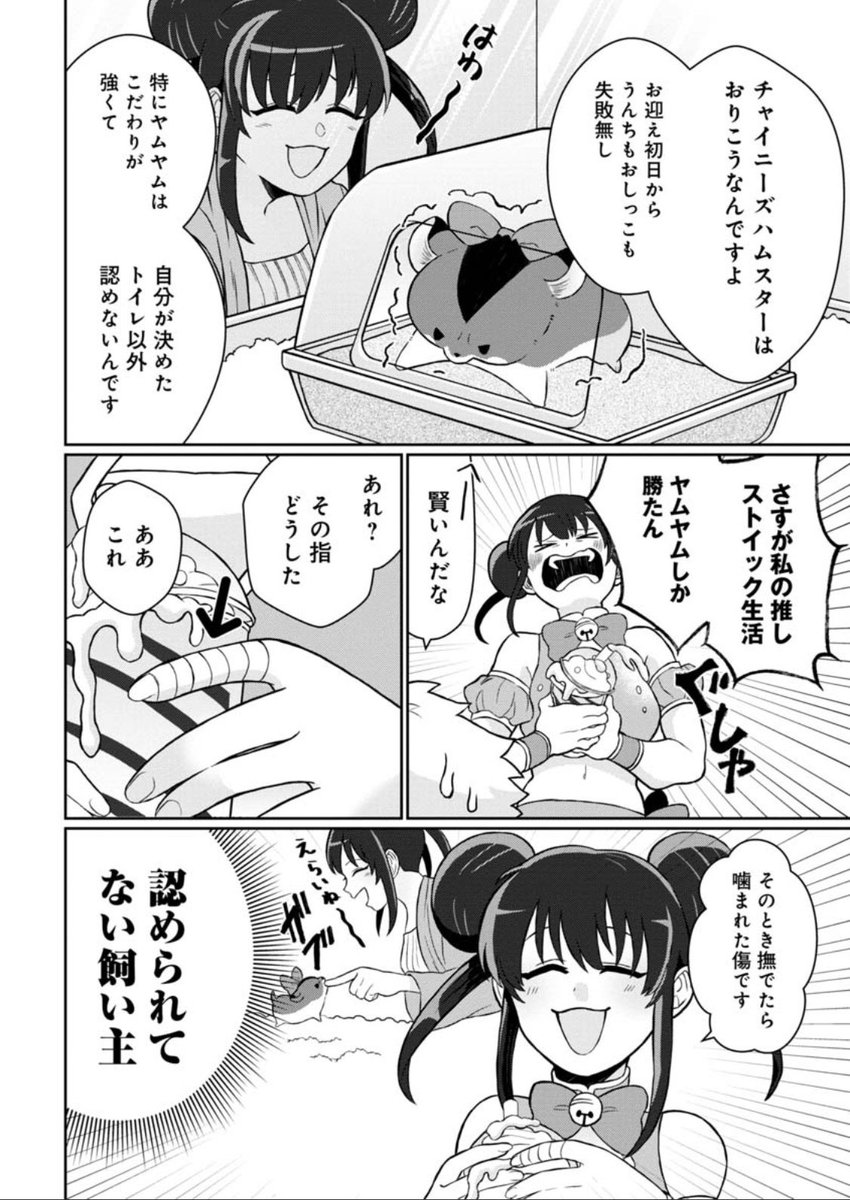 #悪者さんちのハムスター
第17話「ハムちゃんのトイレ事情」がくらげバンチにて公開されました🐹🐻
https://t.co/CoZMcmWt4z
ハムスターの種類によってトイレの様子にも個性がある話です。
単行本も発売中です!
https://t.co/B2zb97e88j
ぜひよろしくお願いします。