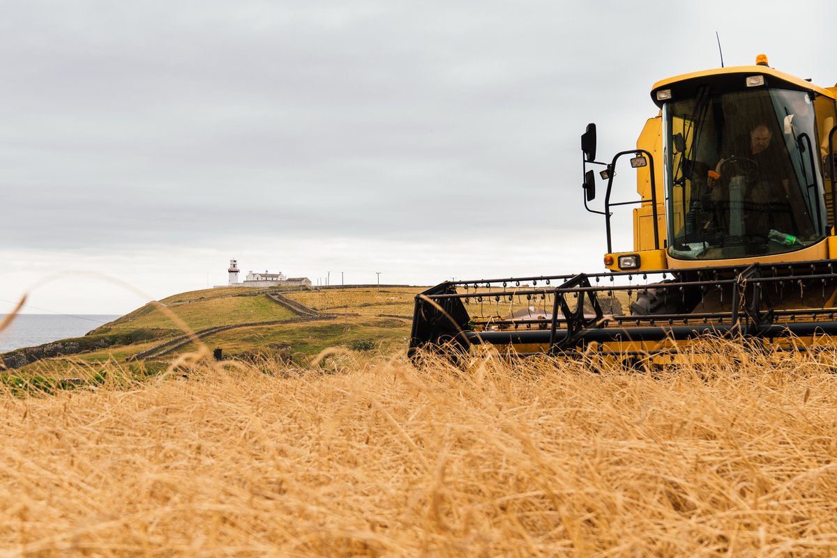 EXCLUSIVE

Clonakilty Distillery - Harvest Thanksgiving Tour - Saturday 1 October

Don't miss this special 3-hour tour taking in the Galley Head barley fields, the maturation warehouse and a tour and tasting at the distillery. 

Book: clonakiltydistillery.digitickets.ie/category/43410

#IrishWhiskeyHarvest