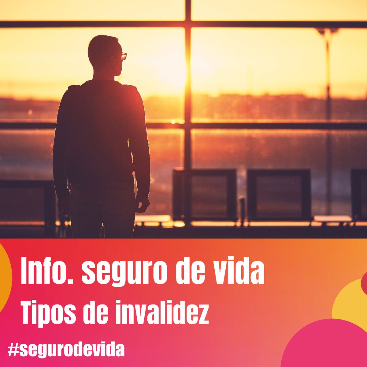 Estos son los distintos grados de invalidez:
  ⚫ Parcial
  ⚫ Total
  ⚫ Absoluta
  ⚫ Gran invalidez

Si quieres más información sobre esto, te invitamos a que entres en nuestro instagram. encontraras la definición de cada una de ellas.

#correduriabc #información #segurodevida