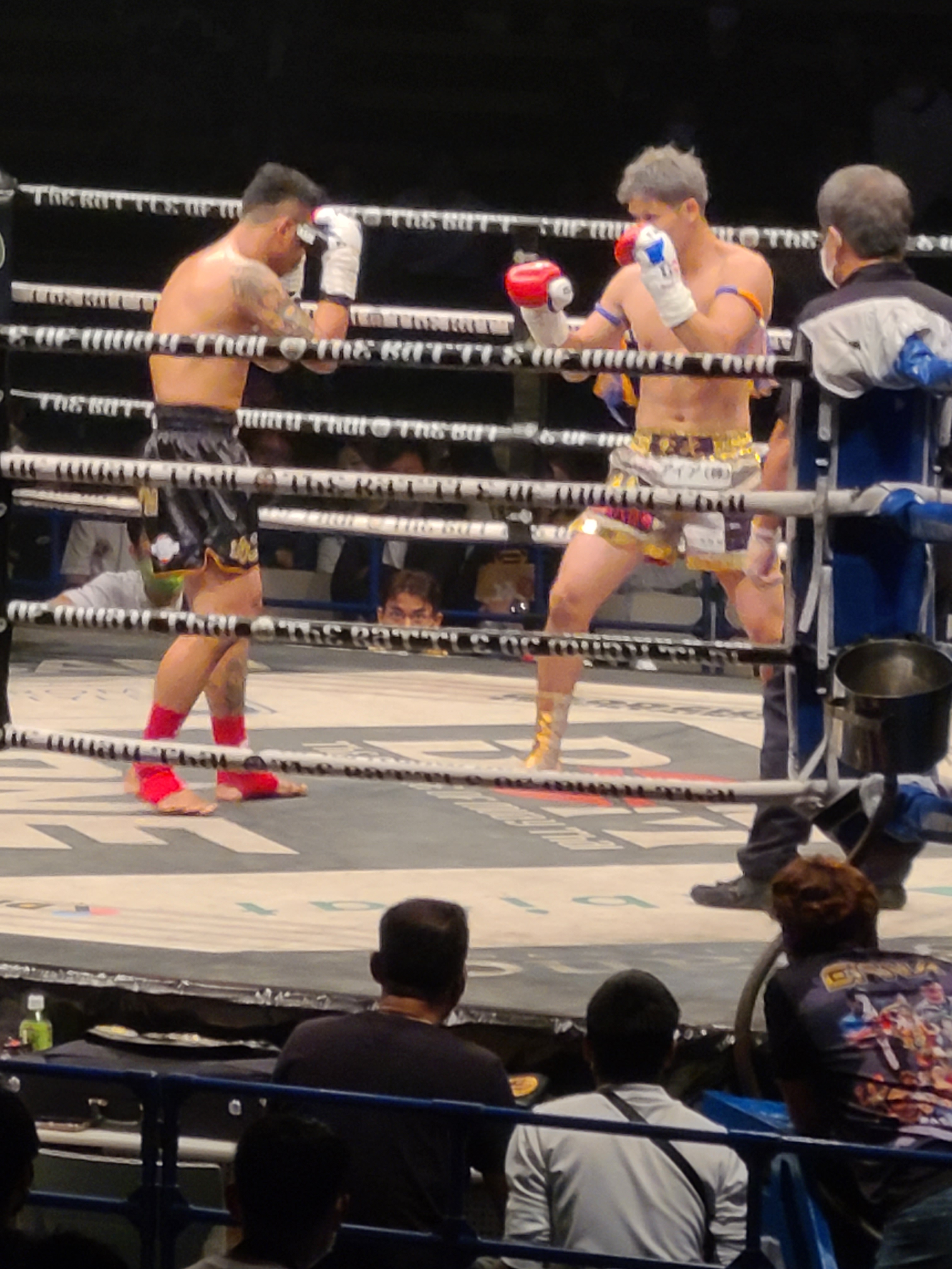 サーバル on Twitter 