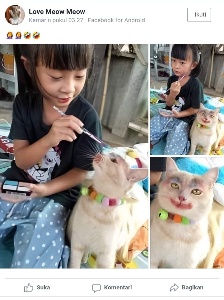 kochengfs's tweet photo. 🐈 nya mau mau aja lagi 😭 https://t.co/4CWzi1LtgJ