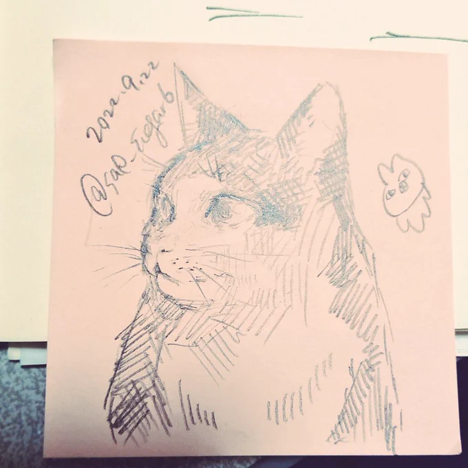 実家の猫さんの写真を見ながら描いた。 