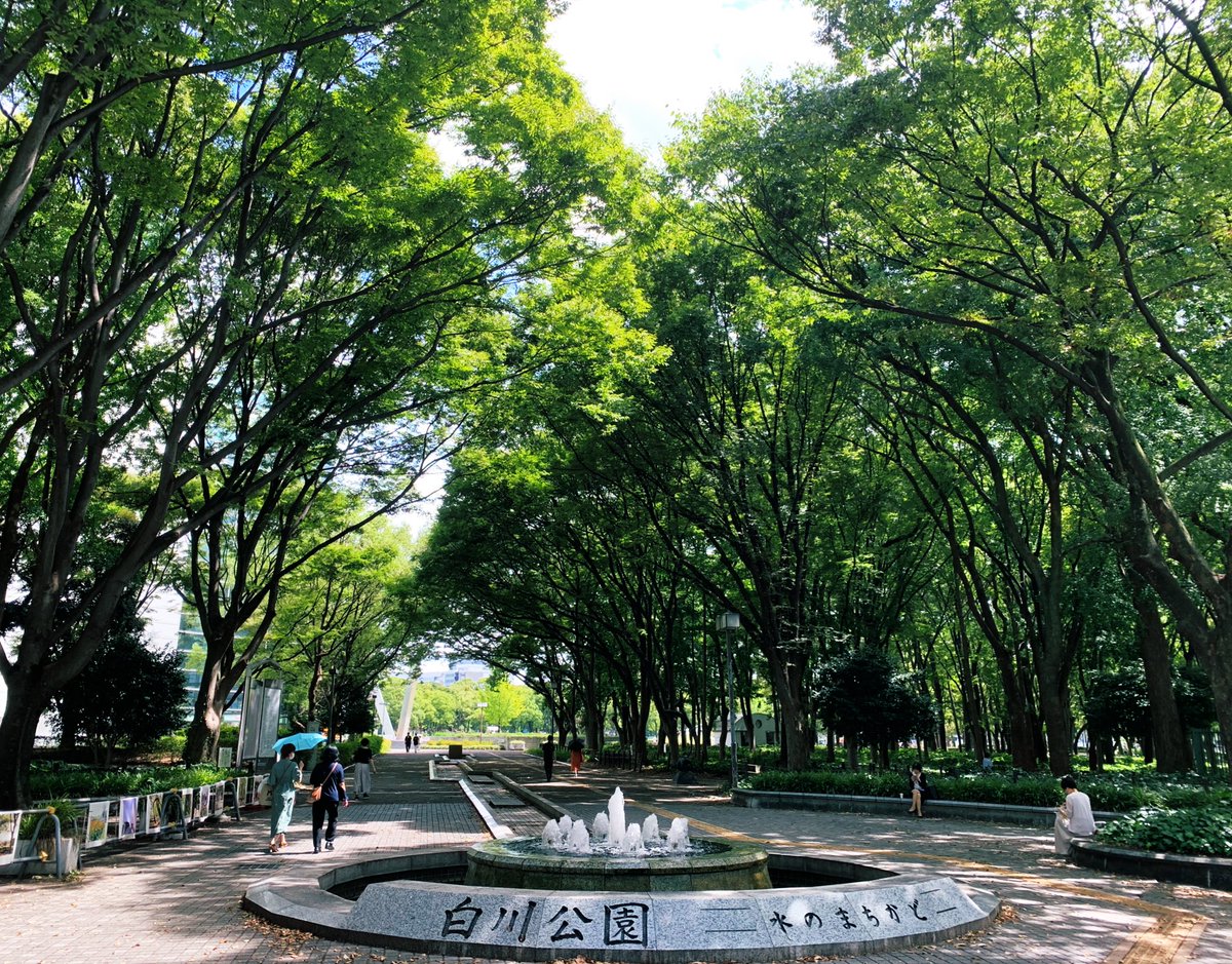 白川公園の並木道。でかい銀色球体は科学館のプラネタリウム。噴水⛲️も吹き上がり撮影スポットとしても人気。個人的に名古屋市美術館へ訪れることが多い。