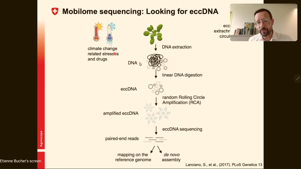 Incredibly live discussion after today's #semIDEEV 
@methylcytosine hoste by <a href="/lemoulon/">GQE-LeMoulon</a>'s <a href="/CornilleAmand/">Amandine Cornille (she/her)</a> 
Started at noon and we are still fullly engaged