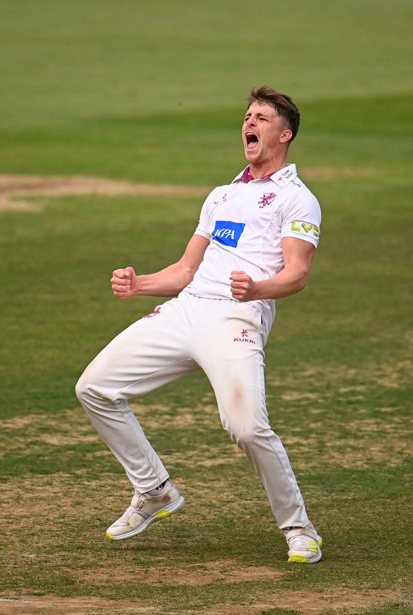 Somerset Cricket 🏆 tweet media