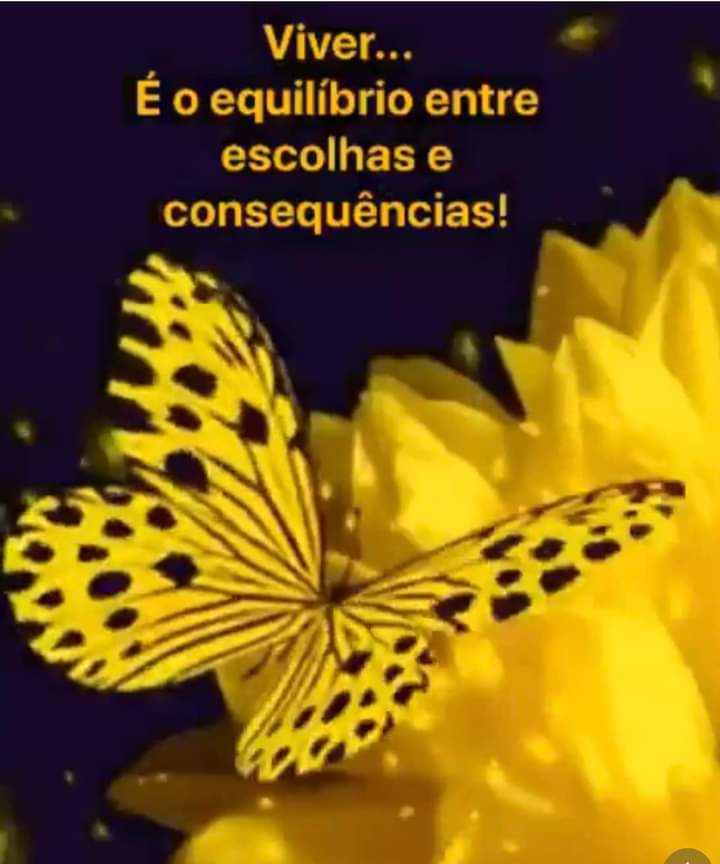 Suely Couto (@suelycouto) on Twitter photo 