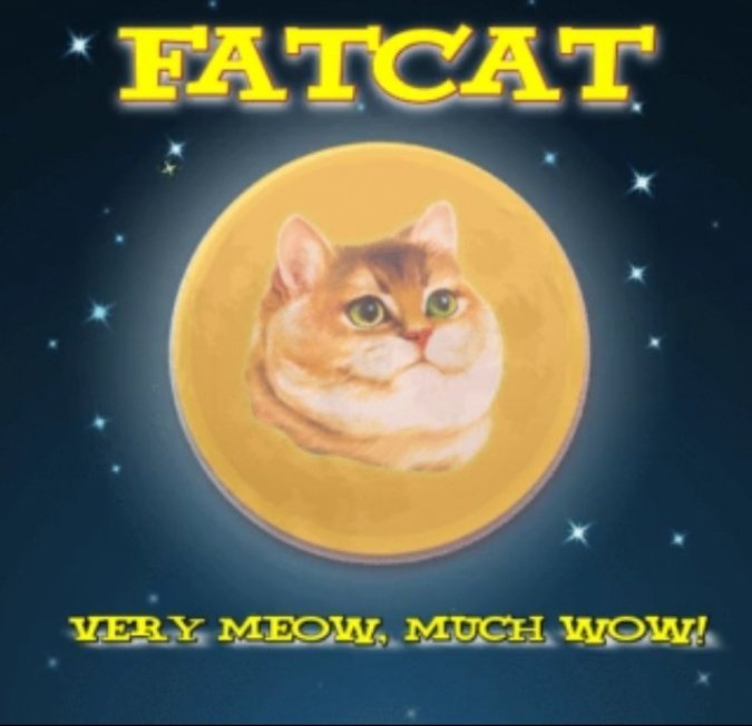 FATCAT tweet media