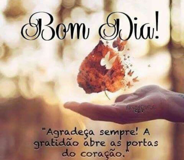 Suely Couto (@suelycouto) on Twitter photo 