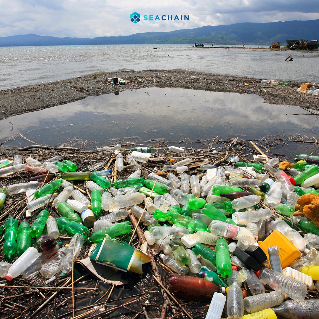 Plastic is responsible for 80% of all garbage found in the oceans, every day tons of this waste arrives in the seas, a good way for everyone to help avoid single-use plastic, such as straws, cups, plates among others, so the environment thanks you!