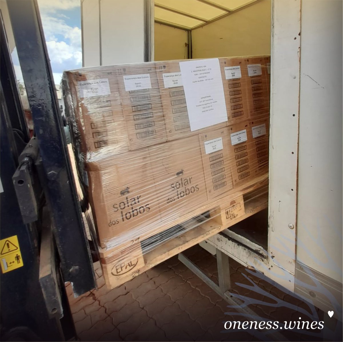 OnenessWines's tweet photo. E a novidade está prestes a chegar a Taiwan! Será que também se vão apaixonar pelo nosso Esperança dos Lobos Syrah? 🥰

#WeAreAllConnected #japan #japão #taiwan #portugal #wines #portuguesewines #wine #madeinportugal #redwine #whitewine  #productofportugal https://t.co/e47VaQAlyS