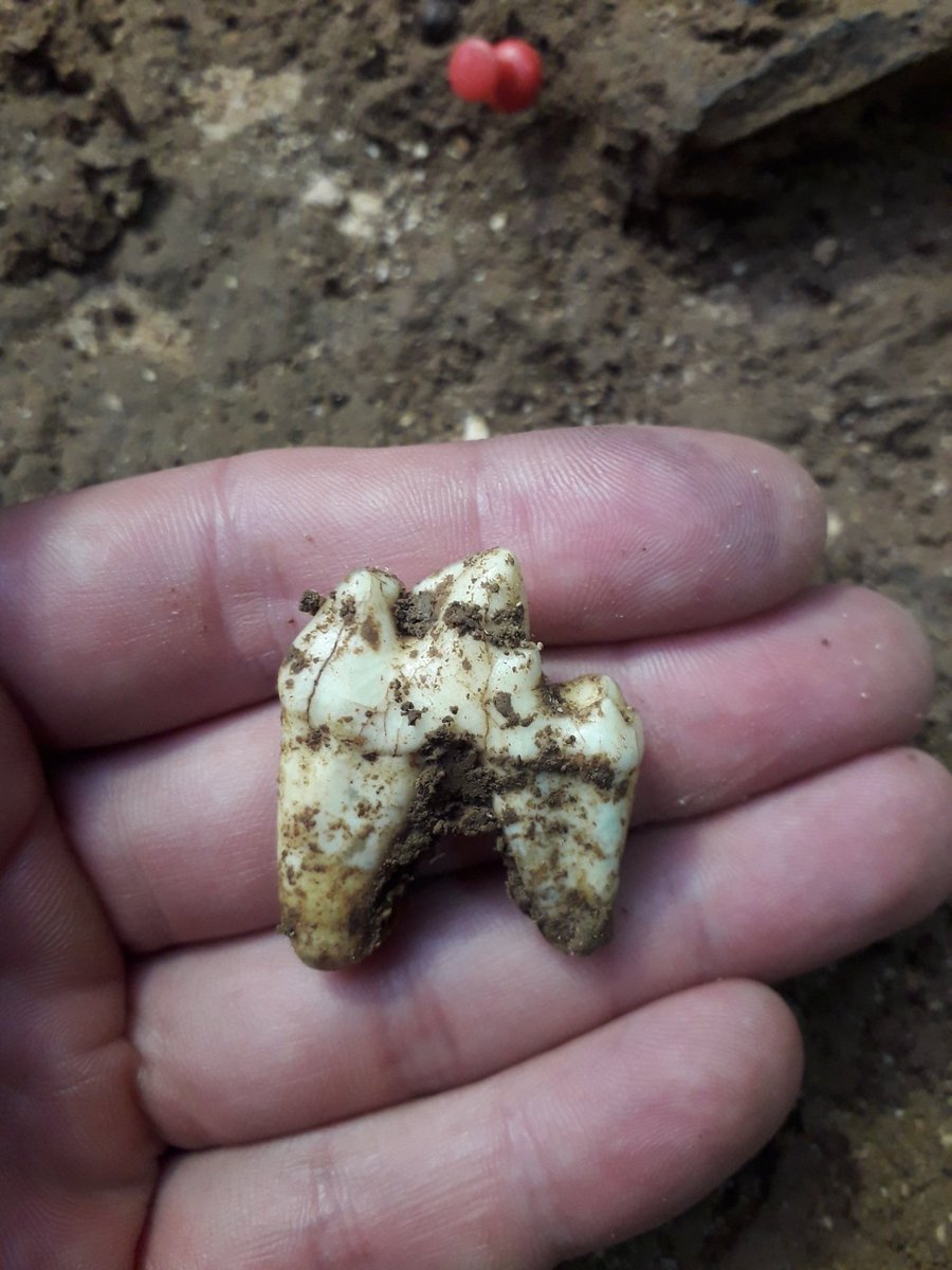 Juan Marín Hernando tweet media