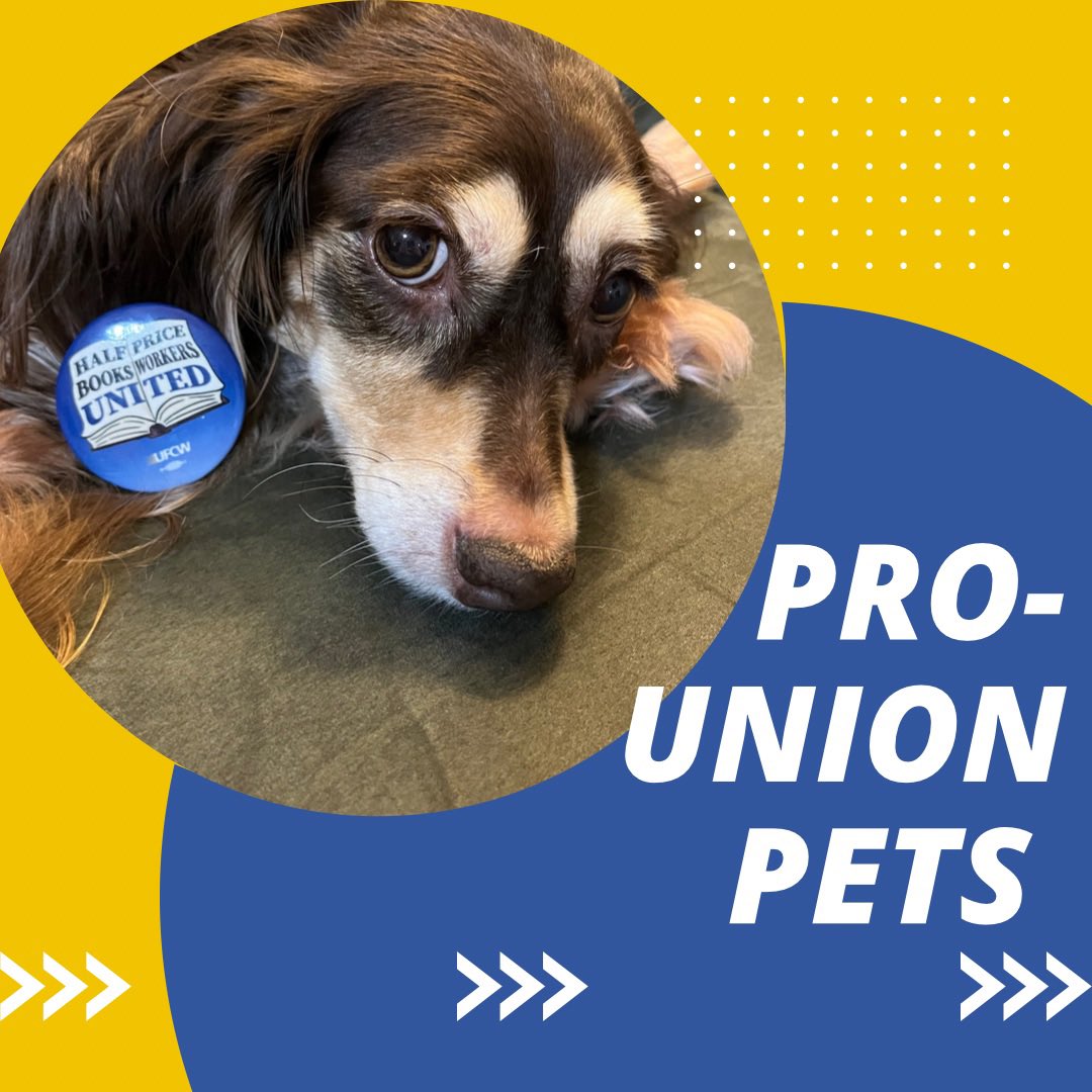 Faye isn’t exactly bright eyed and bushy tailed… but what she is ready for is the VOTE! We vote today at HPB Hurstbourne- wish us luck! Show us your #prounionpet in solidarity! #vote #UnionsForAll #ufcw