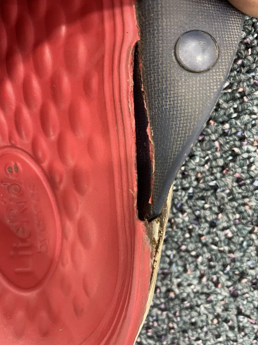 AmitSDerasaria's tweet photo. Pics of torned crocs https://t.co/KoFCTBdqnS