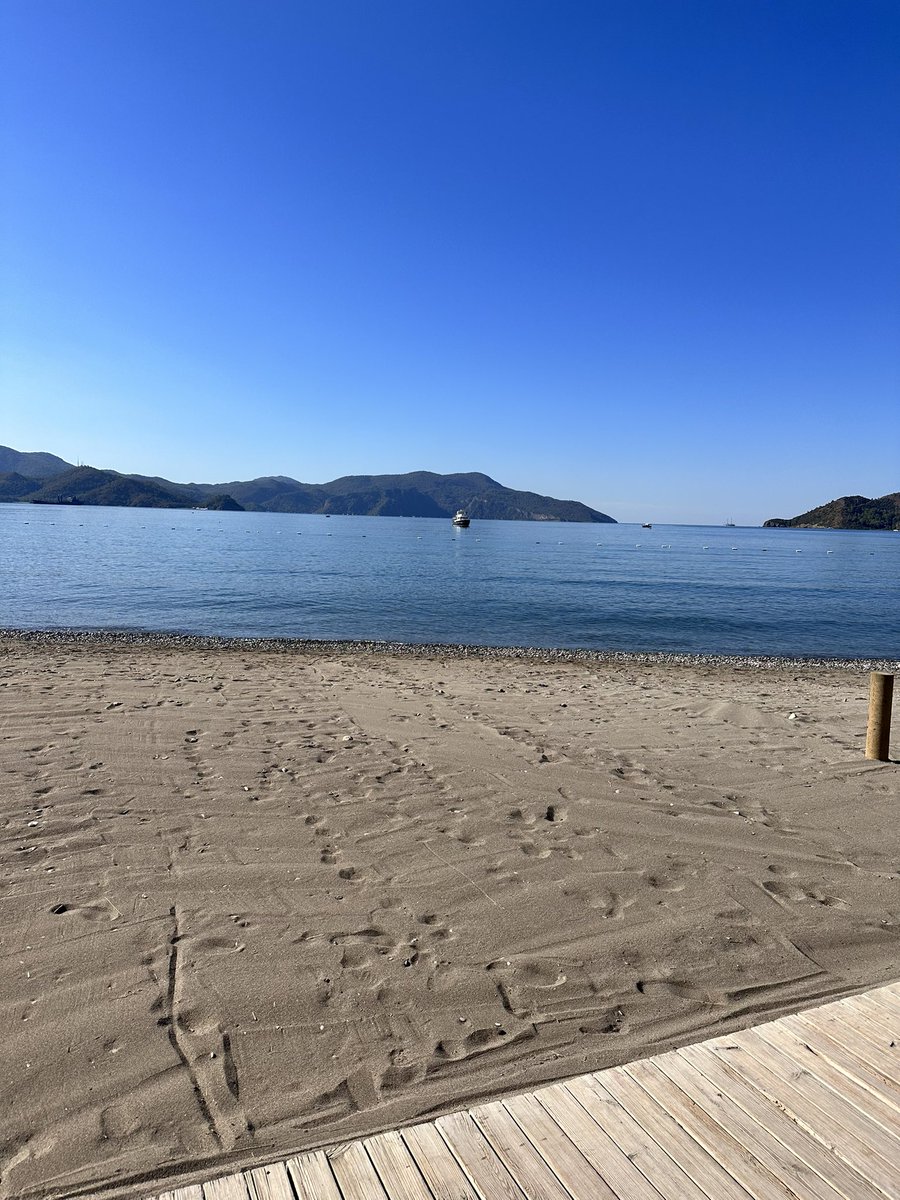 Adrie v Maasdijk tweet media