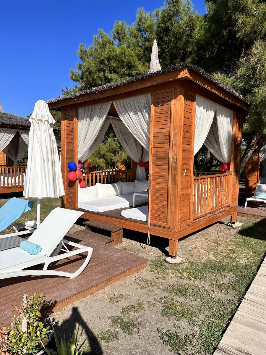 Adrie v Maasdijk tweet media