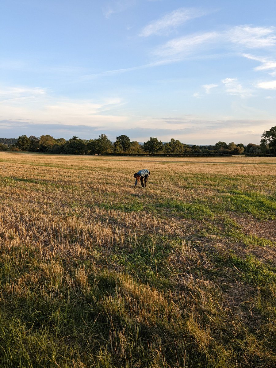 EMMccaver's tweet photo. Many thanks to @TheAdPlain for signing me up for the @BASISRegLtd foundation course 👏

During my training last week, I was brushing up on my basic weed identification 🌱🔍

Plus a thank you to @GarethBubb &amp; @Bayer4CropsUK for my awesome weed book!! ☺️ https://t.co/CKKdzxqATL