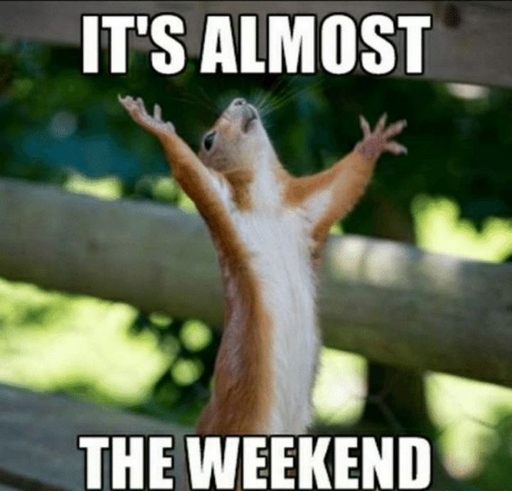 GalwayCider's tweet photo. 𝗪𝗲'𝗿𝗲 𝗻𝗲𝗮𝗿𝗹𝘆 𝘁𝗵𝗲𝗿𝗲! 𝗜𝘁'𝘀 𝘀𝗼 𝗰𝗹𝗼𝘀𝗲! 🥳

Who's looking forward to an amazing weekend? 

#ohyay #cider #ireland #galway https://t.co/By0fUaC20F