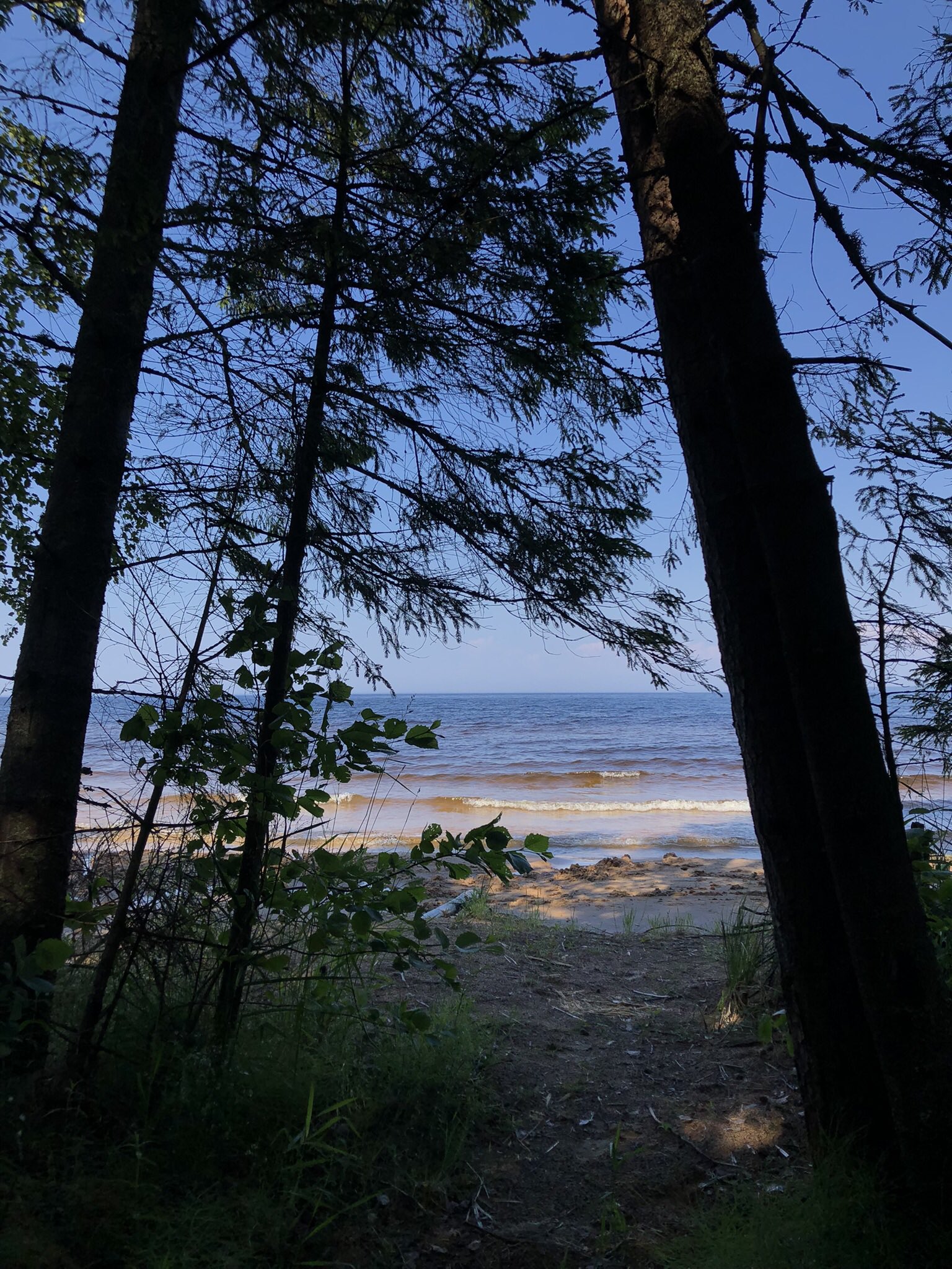 kristinka on Twitter: \"мальчики, погнали волонтерами на Ладогу. связи ...