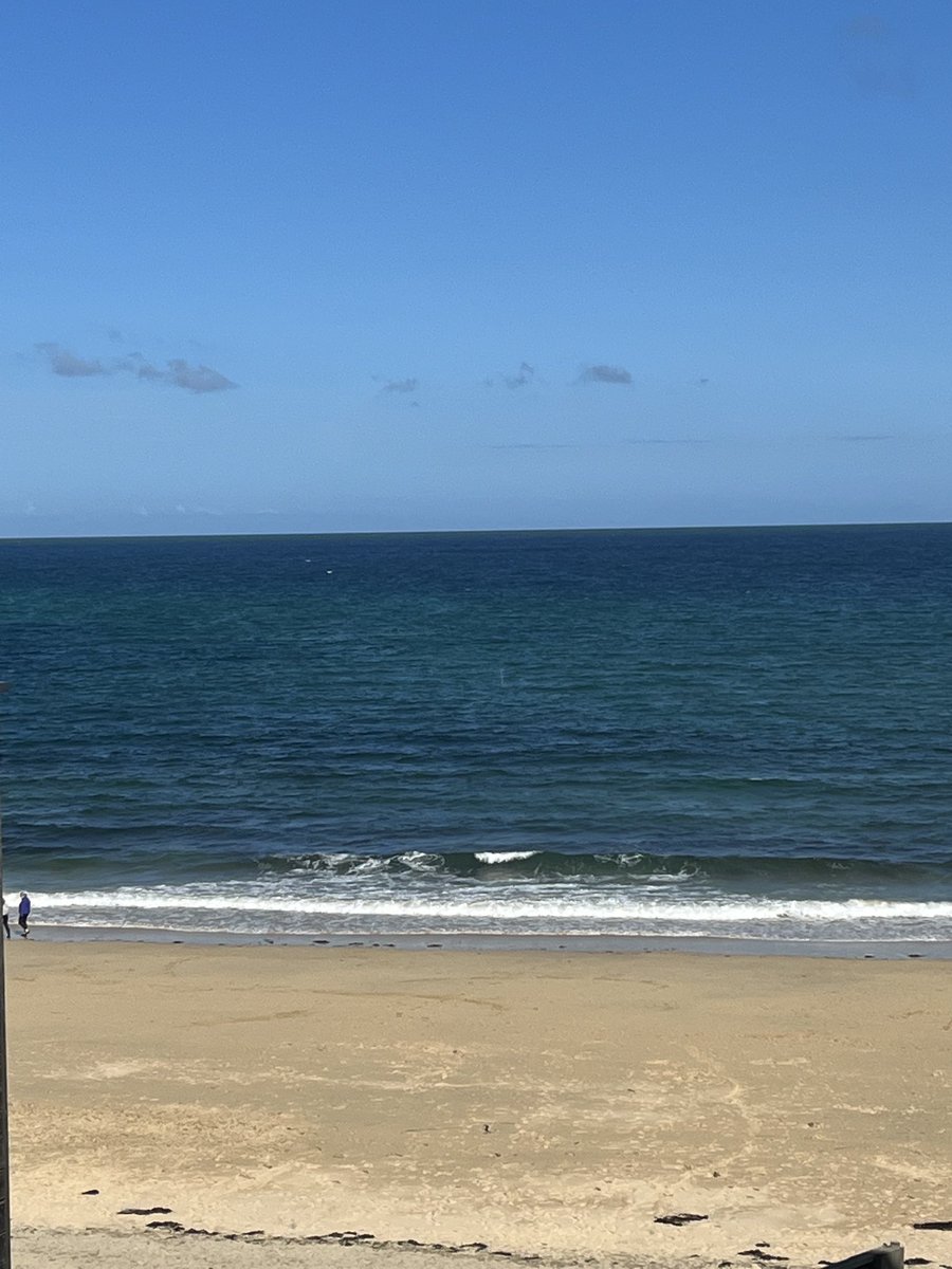 Sophie Hannah tweet media