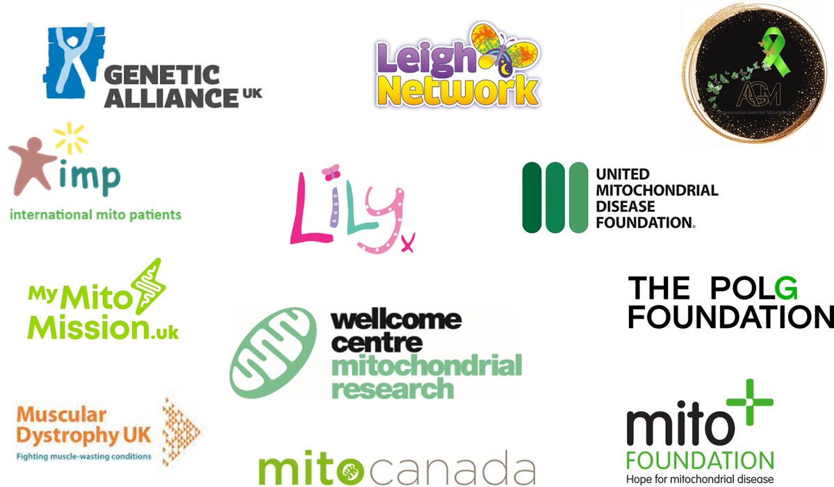 Mito Research tweet media