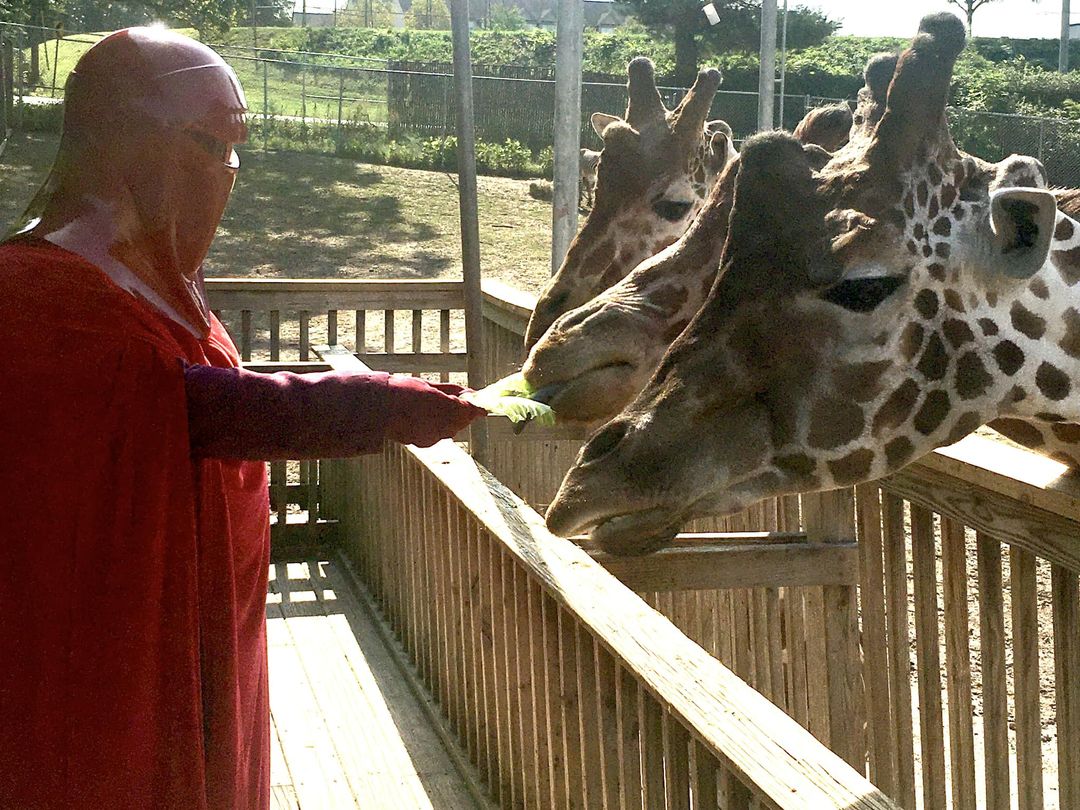 Leave us?! I thought Emperor Palpatine said “Leaf us.” TR-31443 feeding giraffes during Art in the Park at the Elmwood Park Zoo. 📸: DM #BadGuysDoingGood #GarrisonCarida #GarrisonCaridaTroopers #offical501st