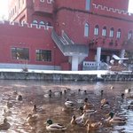 ツイートに含まれる画像