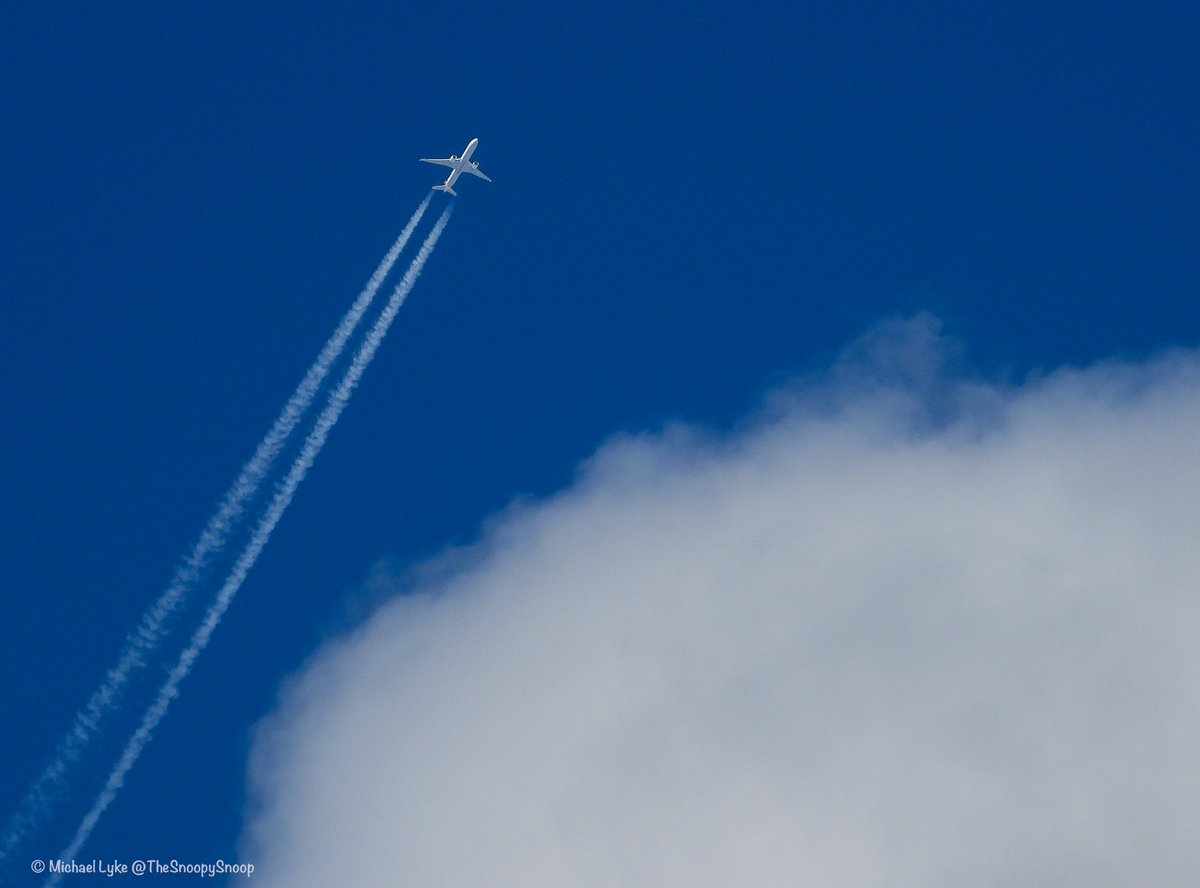 TheSnoopySnoop's tweet photo. #TK12 🇹🇷 Turkish Airlines B777 TC-JJP
35,000ft, 568mph, JFK/IST
#AvGeek #Planespotting #Nikon #p1000 https://t.co/YqEemU3EO2