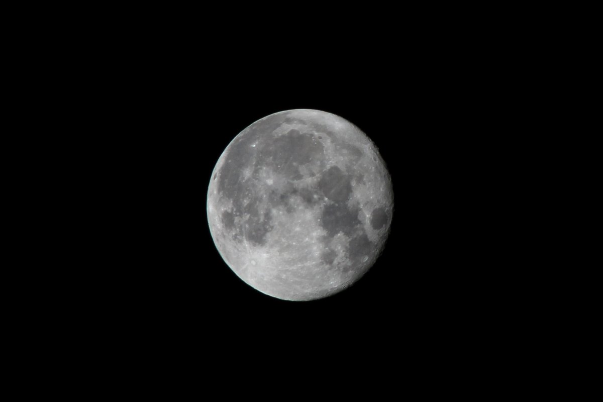 DavidAffray's tweet photo. Thank you for your #1linewed support!
#RestoreTheMoon
@BethGreenBooks
@NickPWilford
@paulphillips44
@mjcarterauthor
@TheHeronKing
@RRTwriting https://t.co/ZmEr4xQL0N