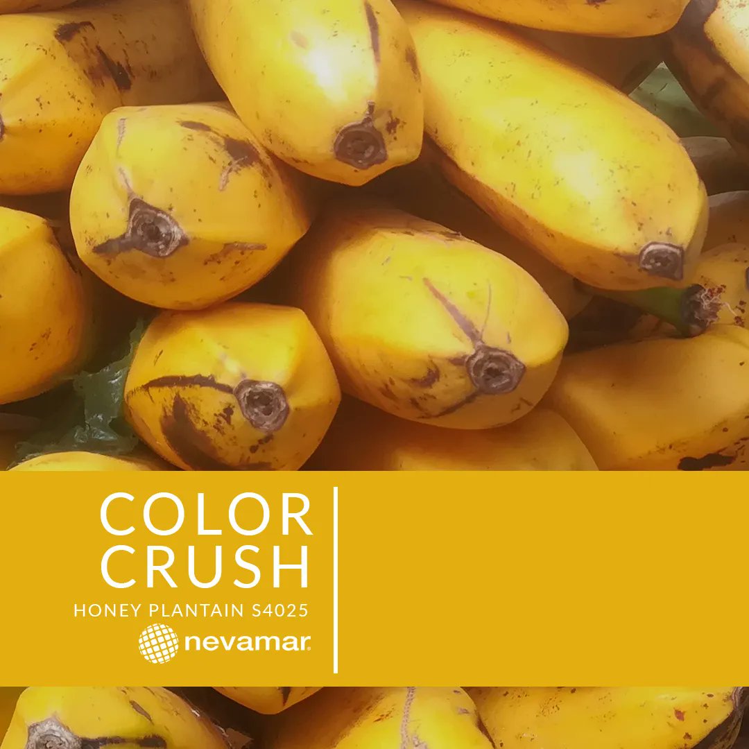 panolam's tweet photo. Add a bunch of tropical inspiration to your next design with Honey Plantain. Discover fresh, sun-ripened goodness that encourages island life-like relaxation and good times. 
#panolamsurfacesystems #honeyplantain #colorpalette, #interiordesign, #panolam #laminate, #colortrends https://t.co/WlRmRqsfx7