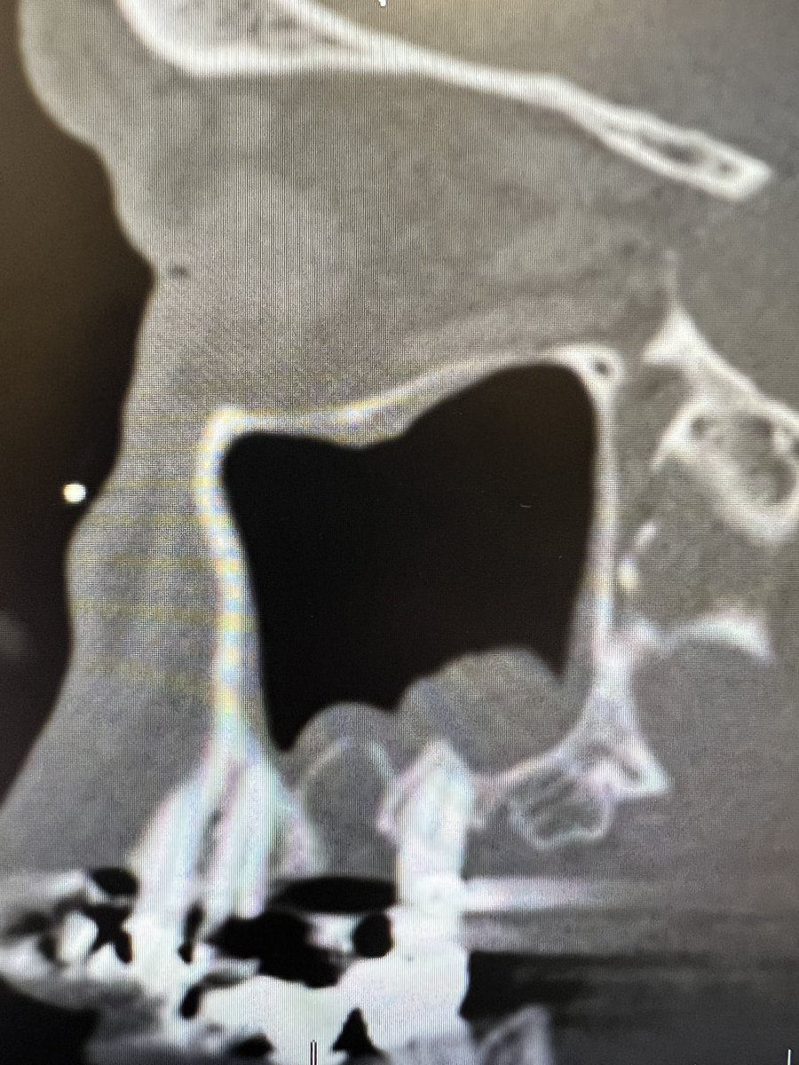 John Craig, MD tweet media