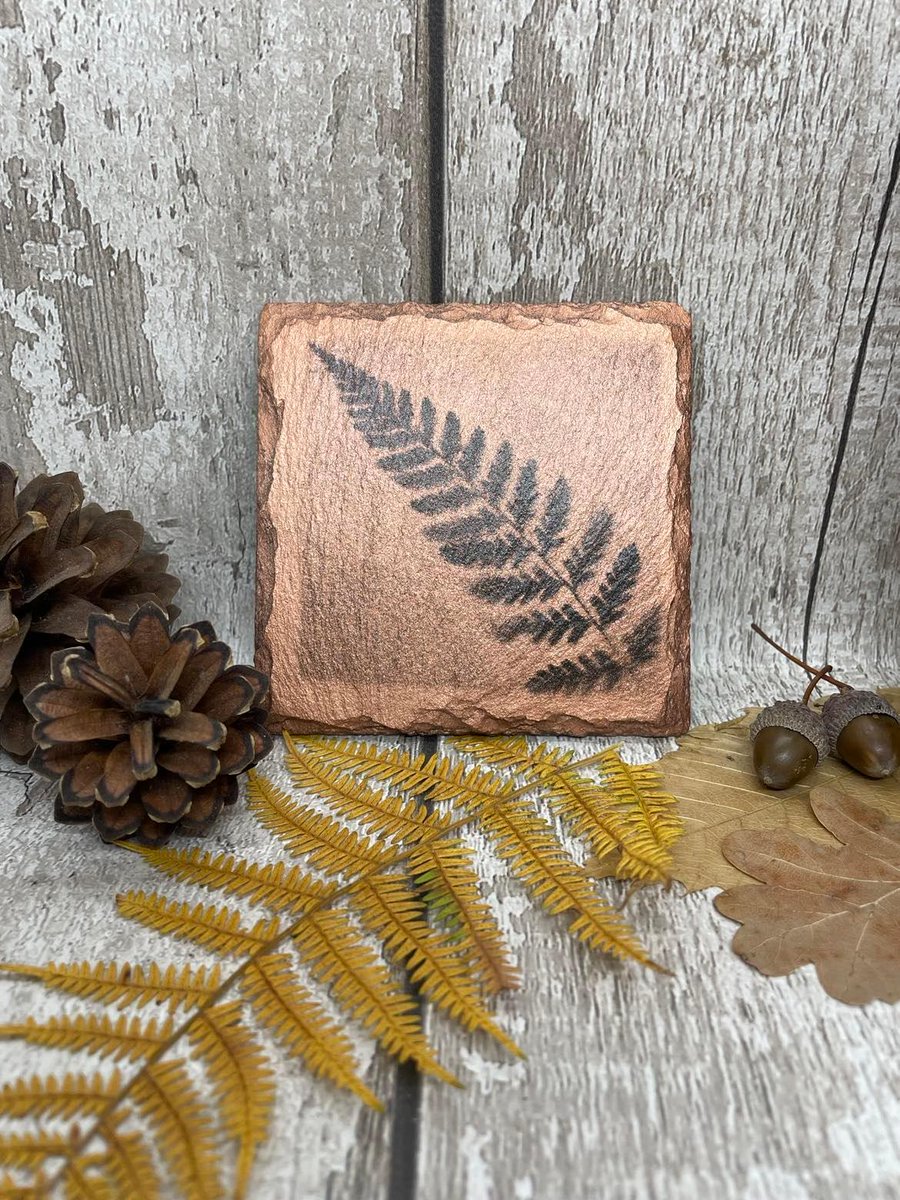 🍂🤎 Today the shorts have been packed away and we welcome in autumnal feels!
I have added a couple of handmadeautumn leaf inspired items to my etsy shop, please feel free to have a browse.
#maudisea #handmadeindorset #poole #dorset #handmadewithlove #autumndecor #handmadeautumn