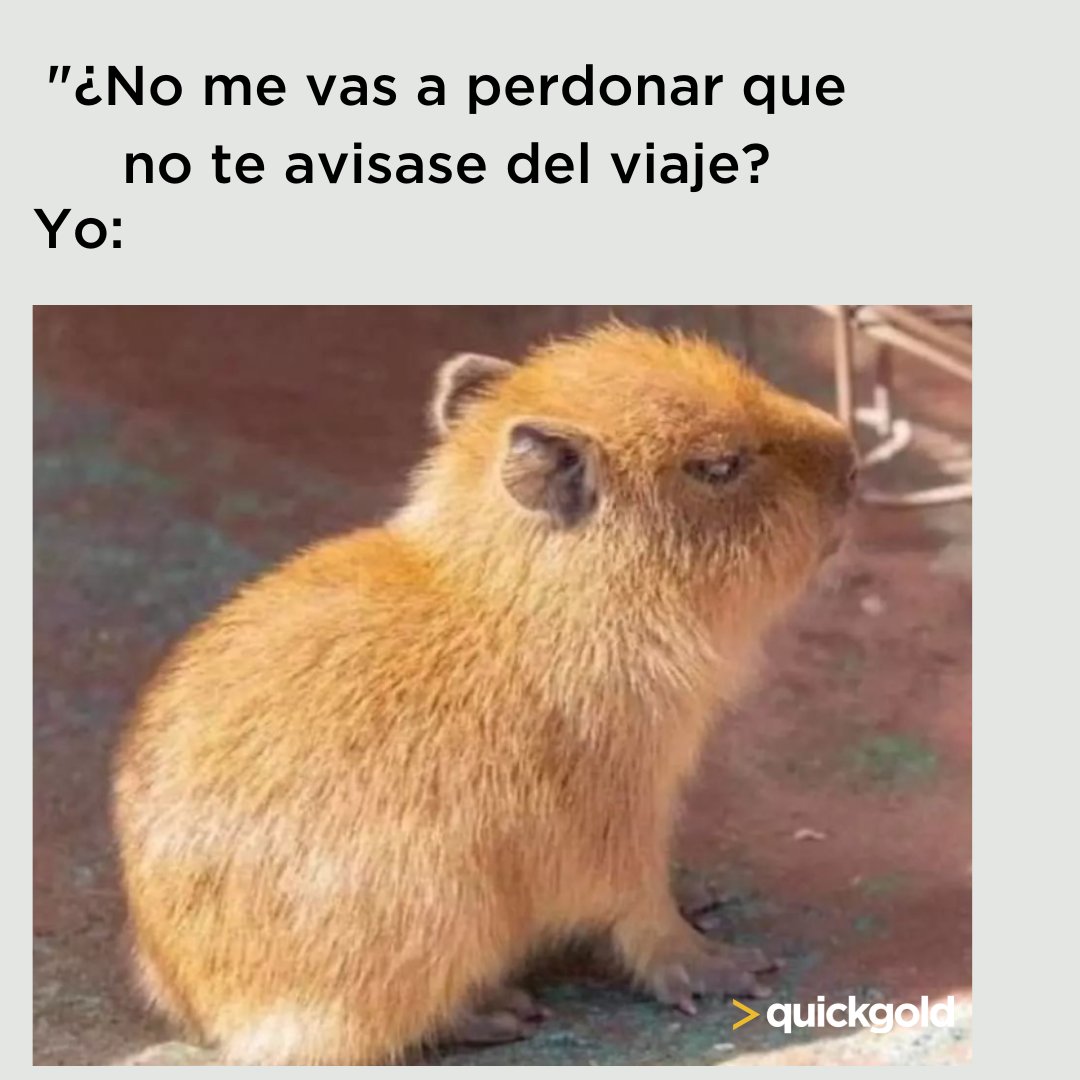 quickgoldQG's tweet photo. Hay cosas imperdonables. 
#FelizViernes https://t.co/qjezDWISl2