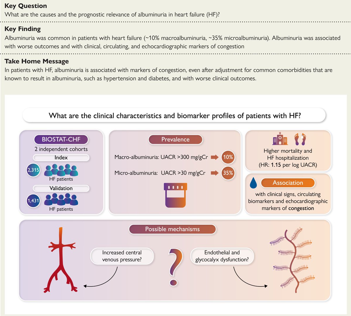 In patients with new-onset or worsening heart failure, albuminuria is consistently associated with clinical, echocardiographic, and circulating biomarkers of congestion. #EHJ ow.ly/UQeY50KRgv9