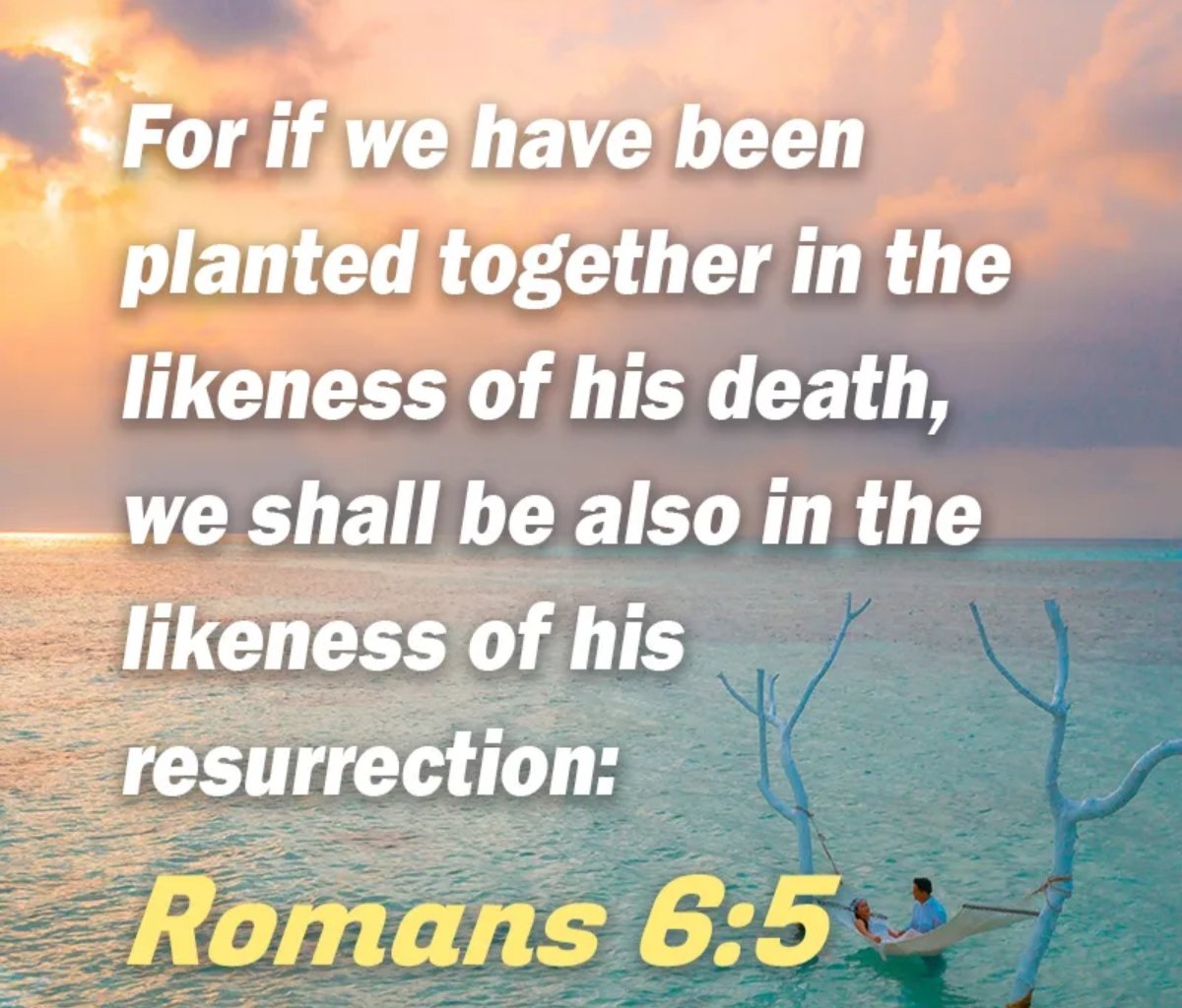 VIRGofILL's tweet photo. Though our #mortalbodies should die, You will raise them again &amp; make them like Your glorious body &amp; we who are alive at Your coming will never die but our bodies will be changed in a moment, &amp; so shall we ever be with You, #Lord. #ThankYouJesus #Amen 🙏🏿👑🕊 https://t.co/q2md7tizNq