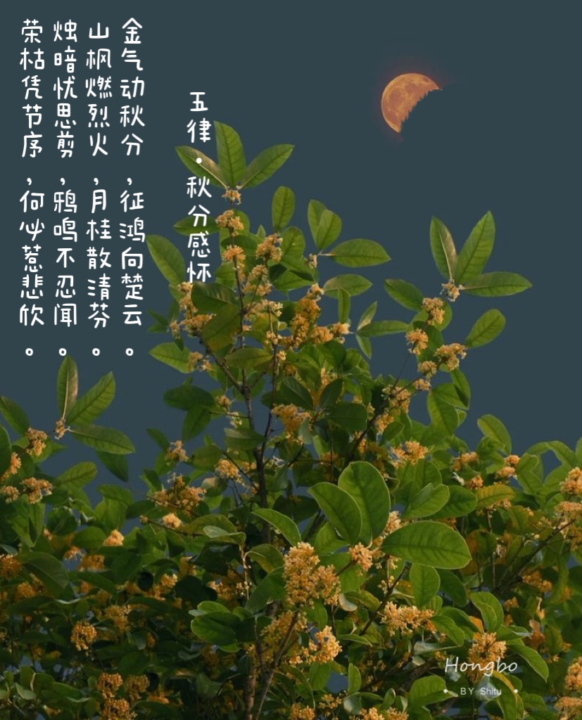 终结者 tweet media