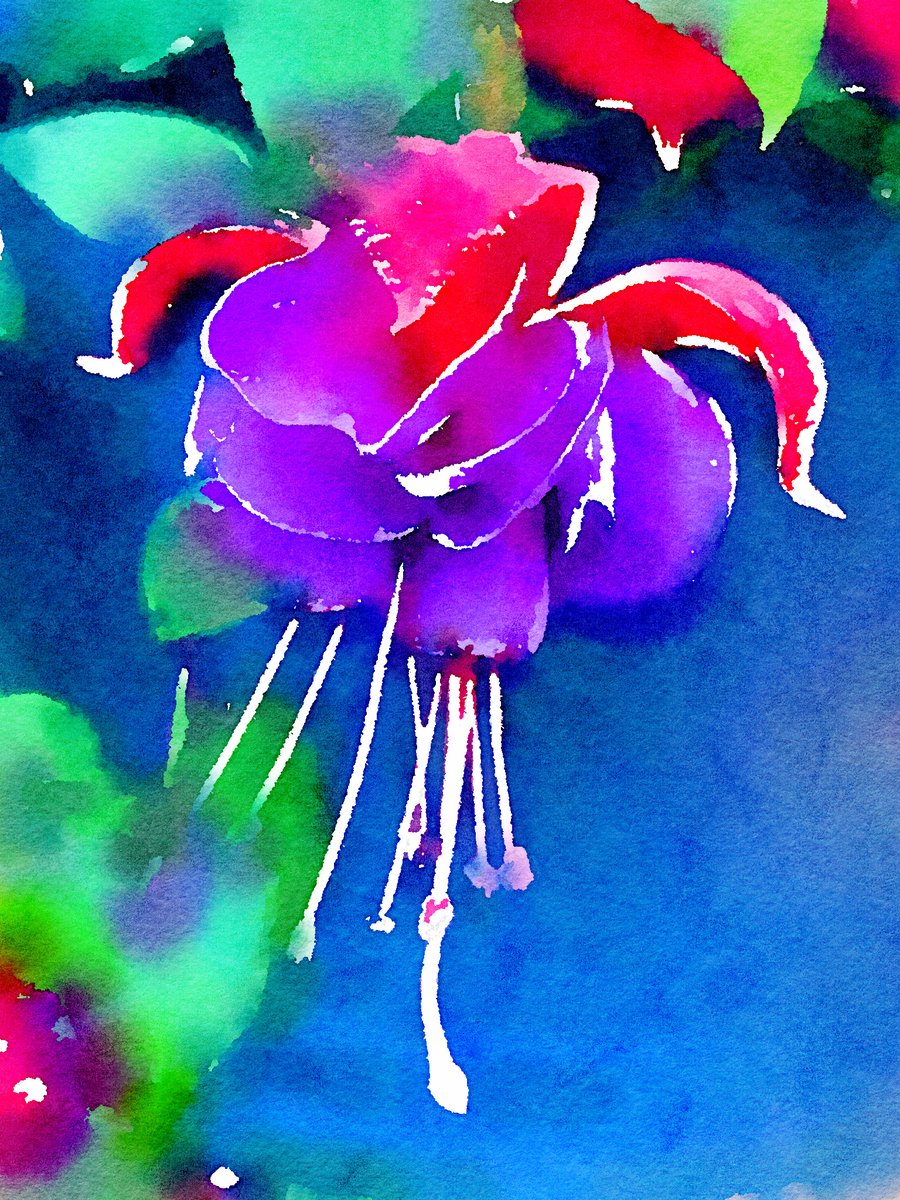 New Artwork, watercolours with inks on very wet paper.

artworkonline.co.uk

#watercolours #inks #wetpaper #artwork #myartwork